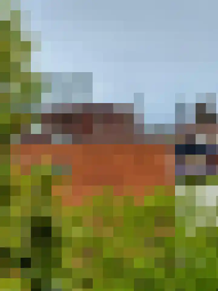 Tarweakker 9 in 's-Hertogenbosch