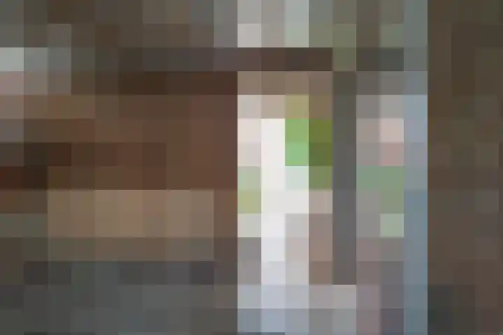 Tarwedreef 101 Doetinchem thumbnail 31