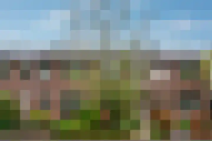 Tarwedreef 101 Doetinchem thumbnail 55