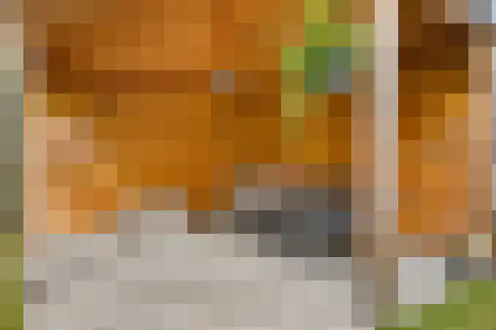 Tarwehullen 8 Assen thumbnail 30