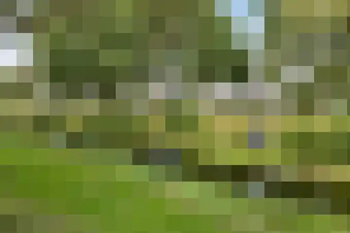 Tarwehullen 8 Assen thumbnail 34