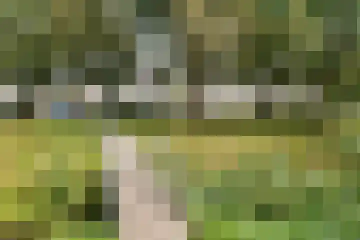 Tarwehullen 8 Assen thumbnail 35