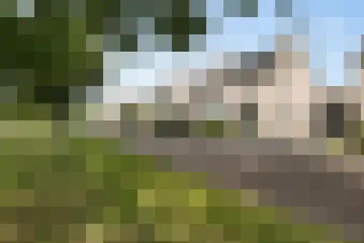 Tarwehullen 8 Assen thumbnail 37