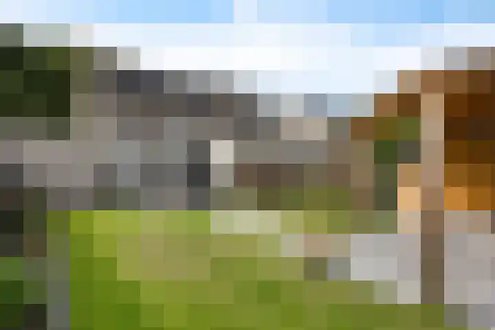 Tarwehullen 8 Assen thumbnail 4