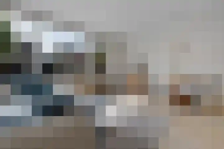 Tarwehullen 90 Assen thumbnail 10