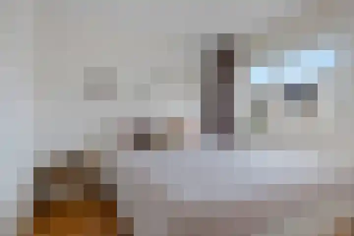 Tarwehullen 90 Assen thumbnail 16
