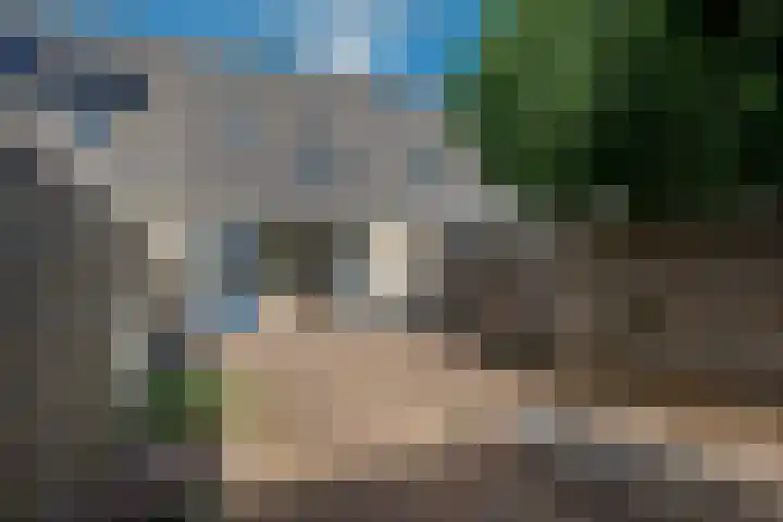 Tarwehullen 90 Assen thumbnail 30