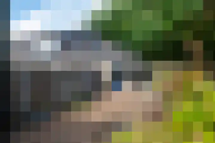 Tarwehullen 90 Assen thumbnail 31