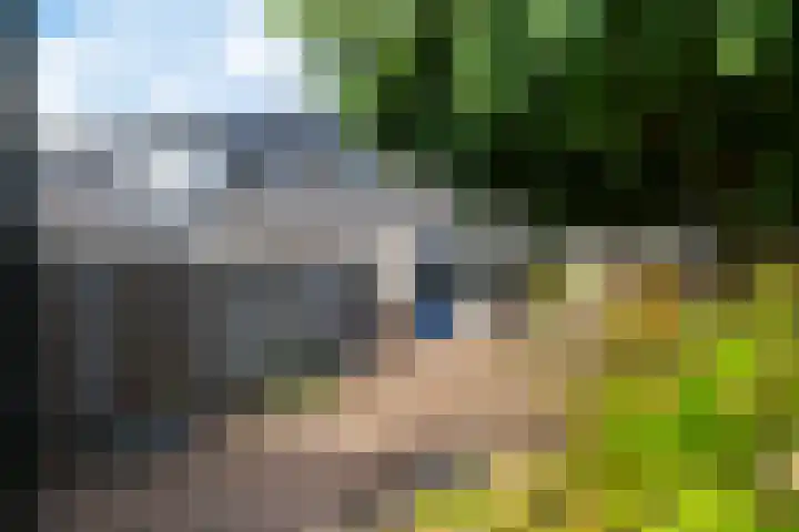 Tarwehullen 90 Assen thumbnail 35