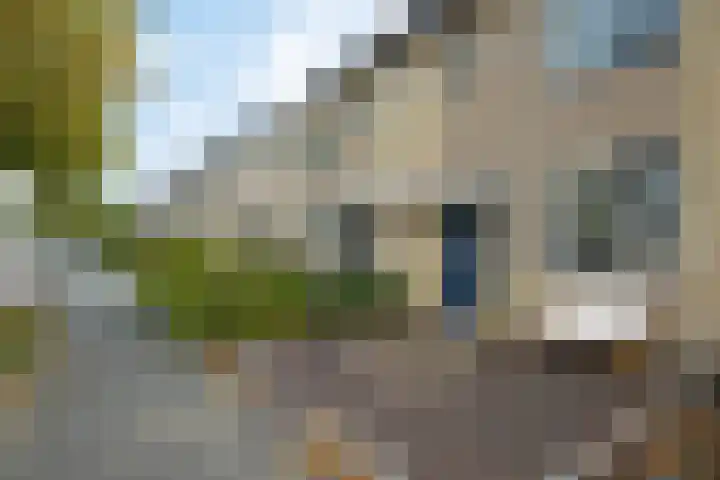 Tarwehullen 90 Assen thumbnail 5