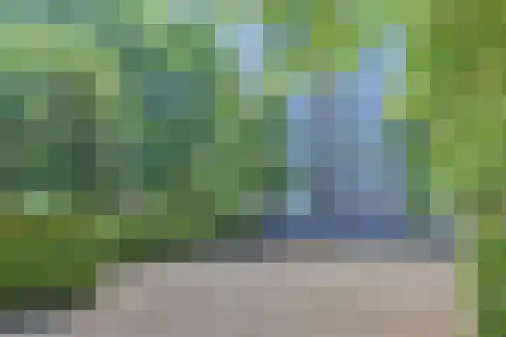 Tarwekamp 105 Den Haag foto 2
