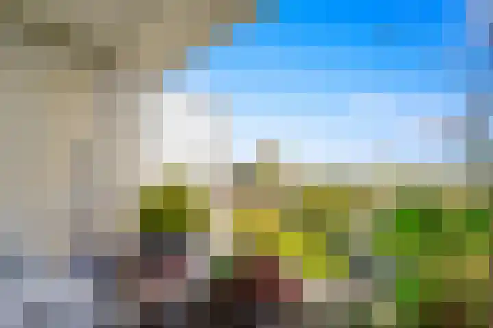 Tarwekamp 181 Den Haag thumbnail 17