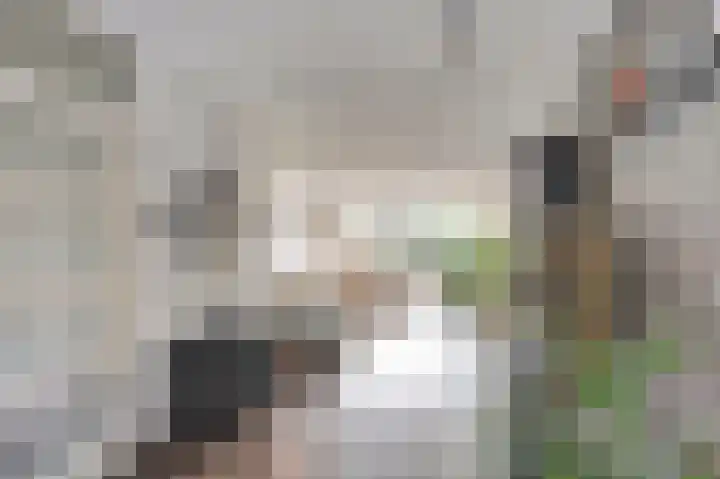 Tarwekamp 7 Hoogeveen thumbnail 12