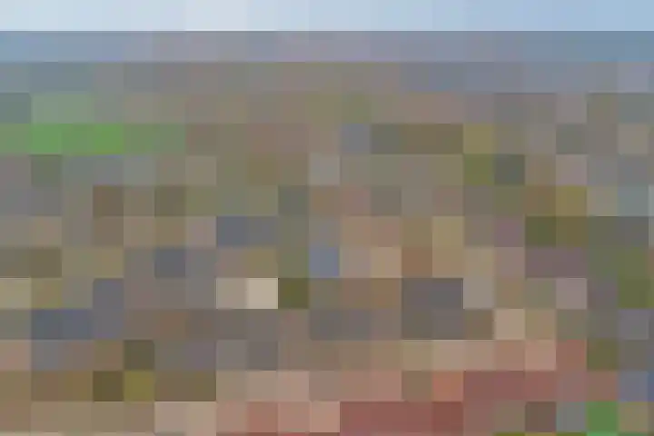 Tarwekamp 7 Hoogeveen thumbnail 37