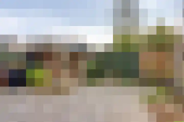 Tarwekamp 7 Hoogeveen thumbnail 4