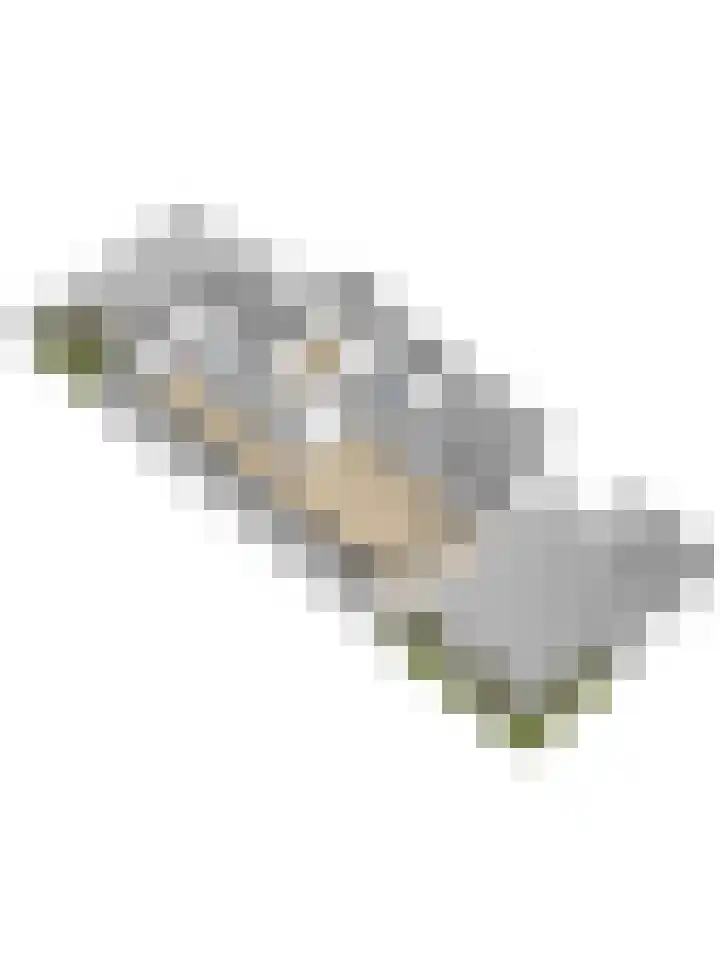 Tarwekamp 7 Hoogeveen thumbnail 44