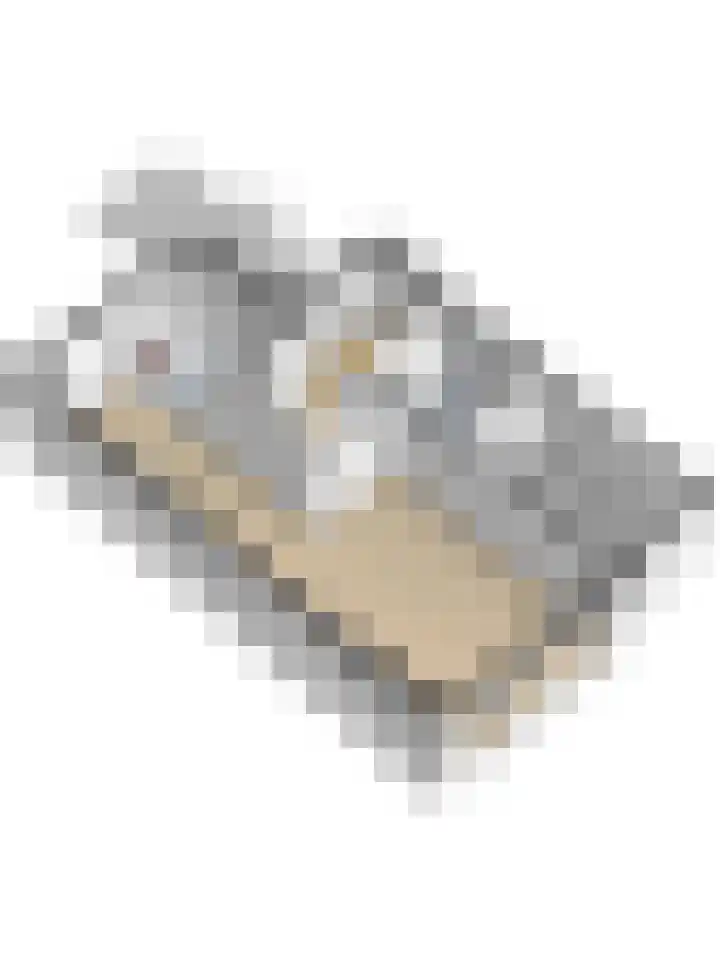 Tarwekamp 7 Hoogeveen thumbnail 45