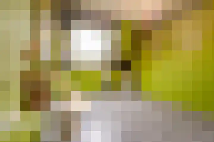 Tarweland 11 Geldrop thumbnail 25