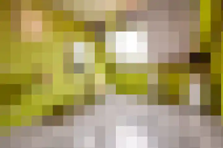 Tarweland 11 Geldrop thumbnail 26