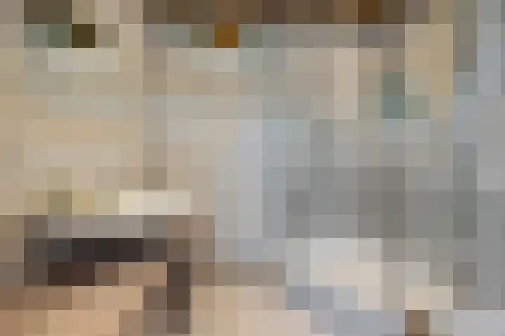 Tarweland 11 Geldrop thumbnail 32