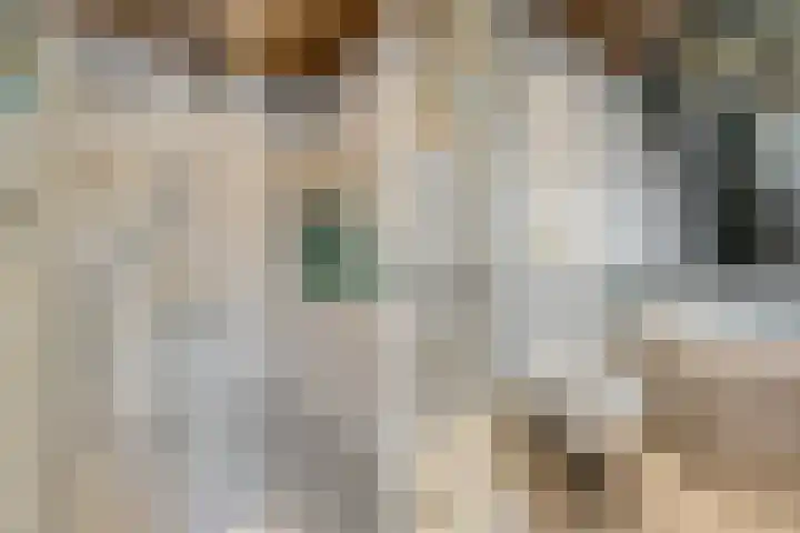 Tarweland 11 Geldrop thumbnail 33
