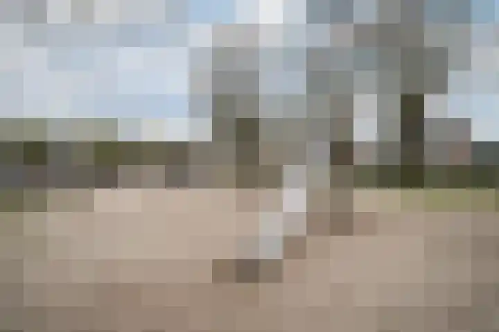 Tarweland 11 Geldrop thumbnail 48
