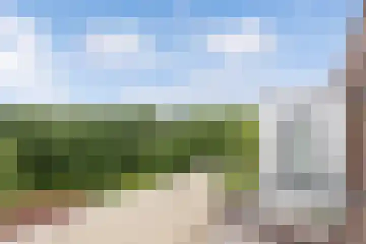 Tarweland 16 Drachten thumbnail 16