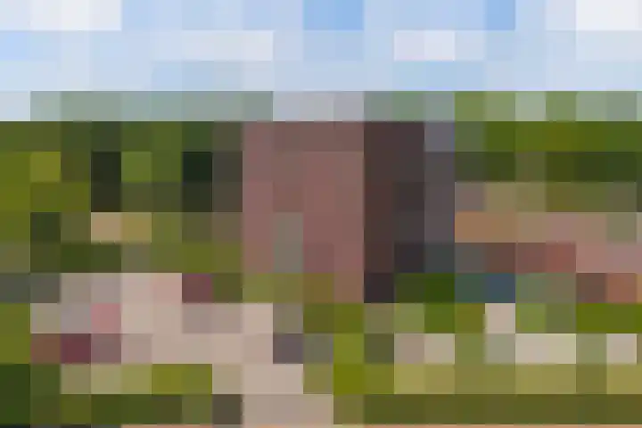 Tarweland 16 Drachten thumbnail 6