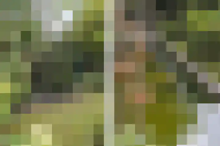 Tarwestraat 111 Purmerend thumbnail 34