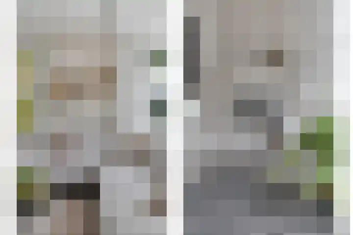 Tarwestraat 14 Halle thumbnail 9