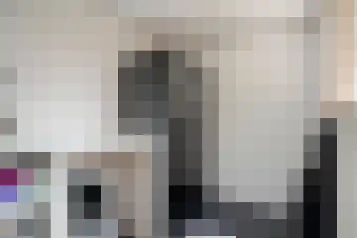 Tarwestraat 14 Olst thumbnail 21