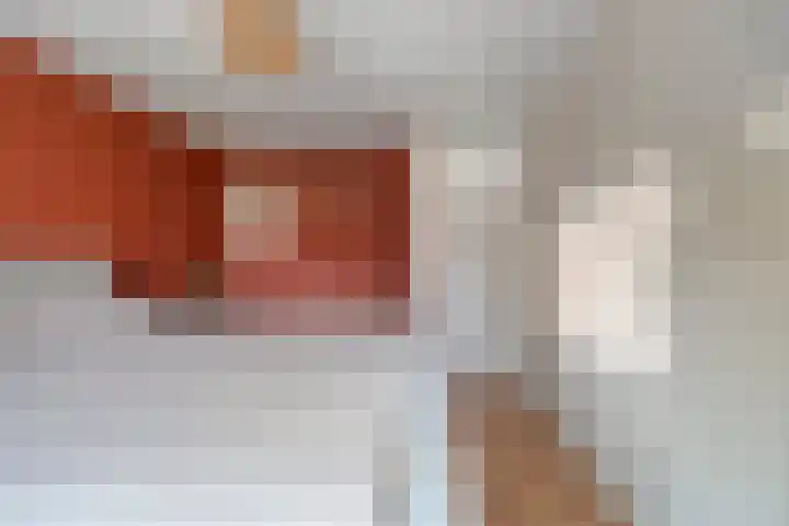 Tarwestraat 14 Olst thumbnail 24