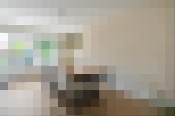 Tarwestraat 14 Olst thumbnail 9