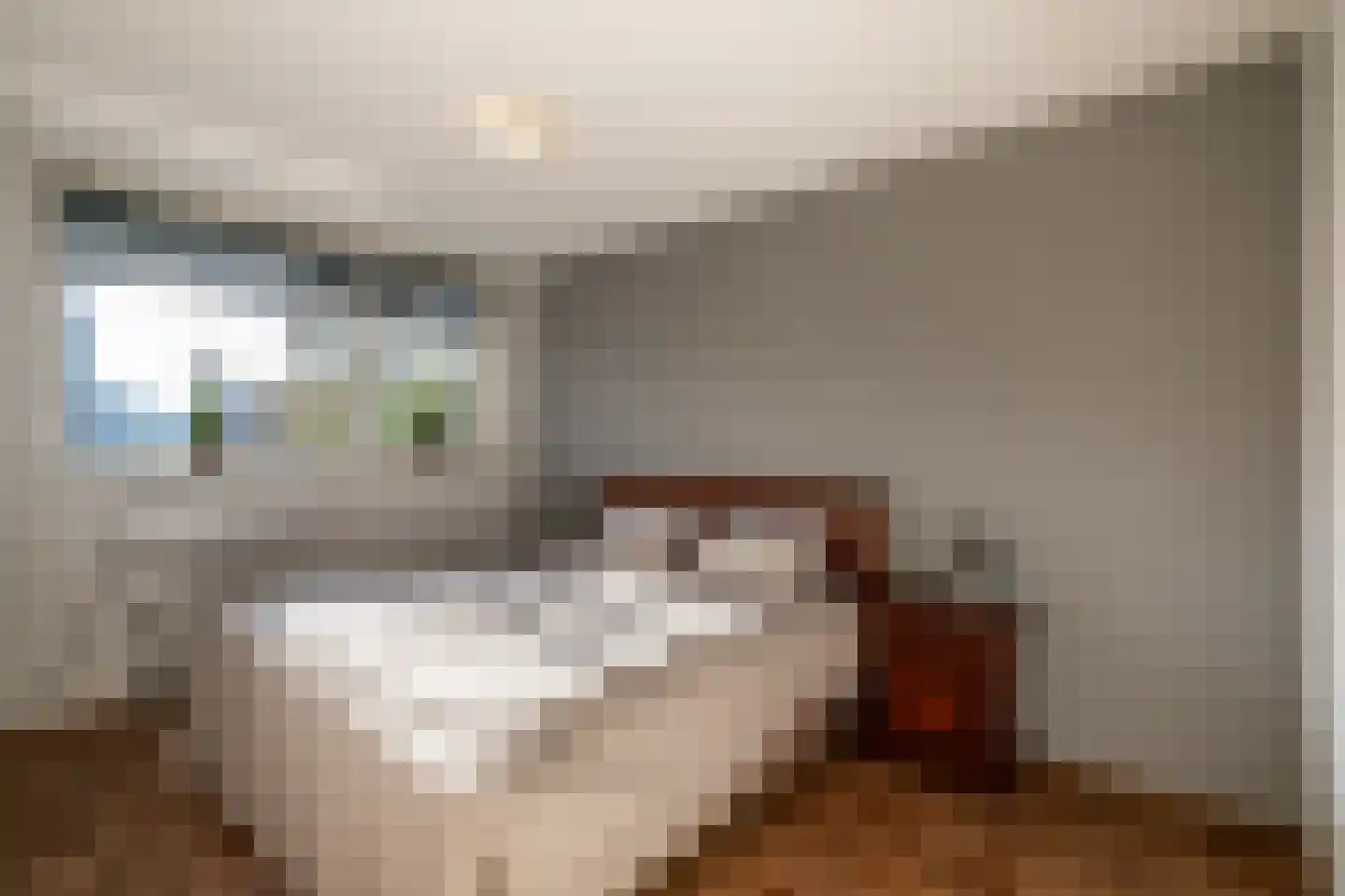 Tarwestraat 16 Berghem thumbnail 18