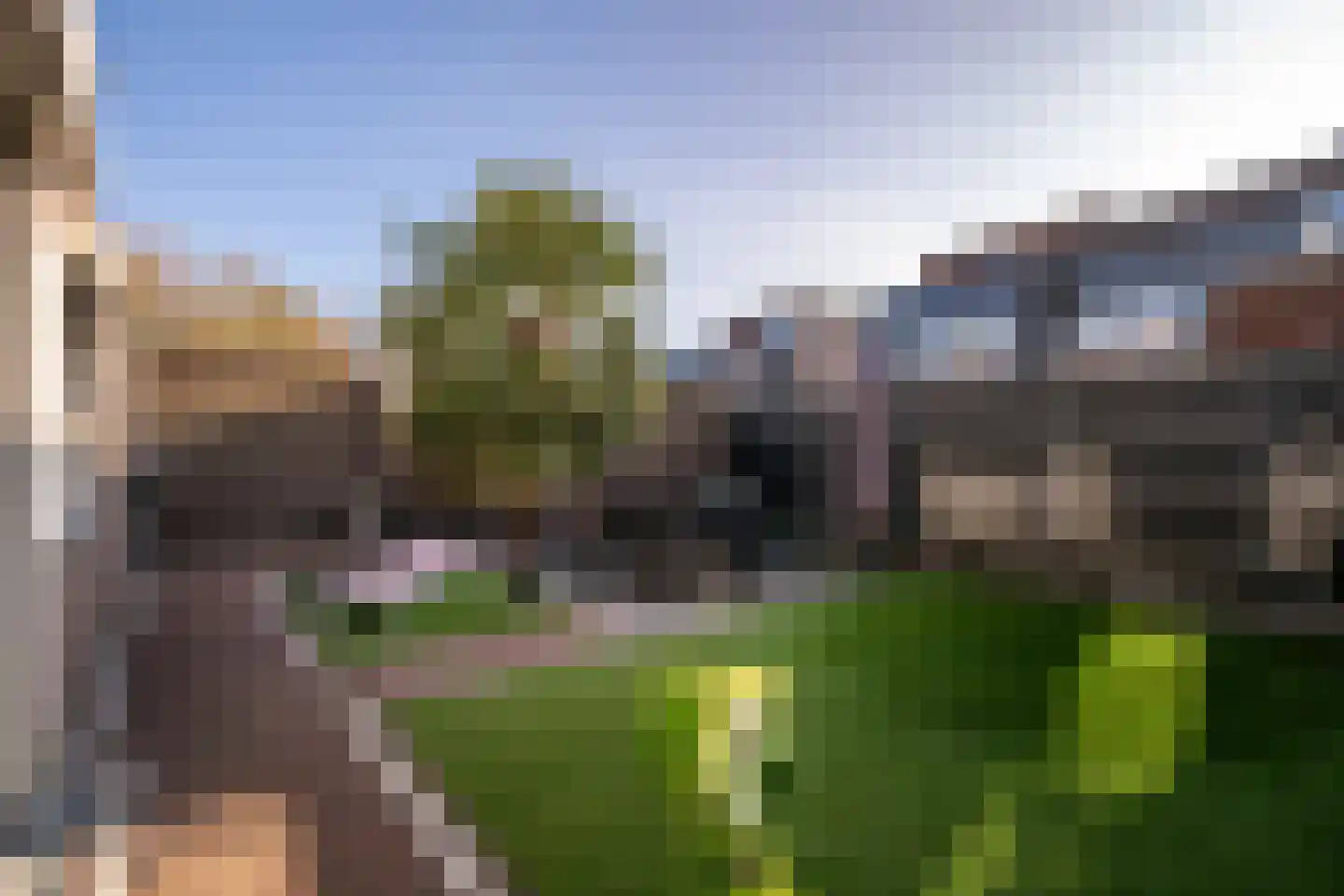 Tarwestraat 16 Berghem thumbnail 27