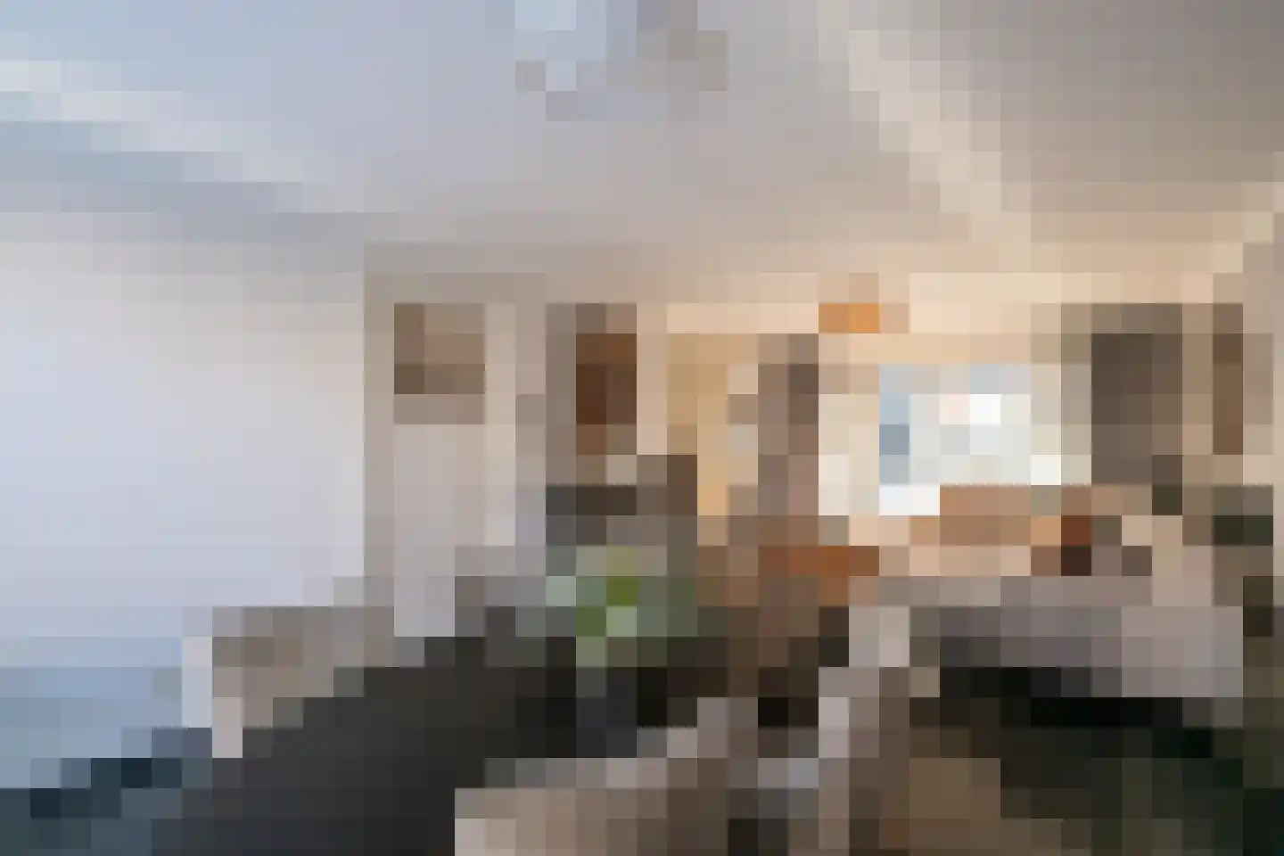 Tarwestraat 16 Berghem thumbnail 8