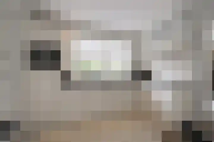 Tarwestraat 19 Halle thumbnail 4