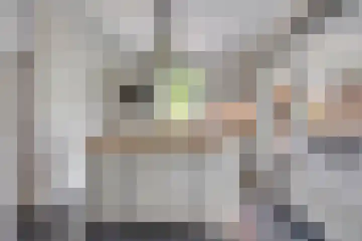 Tarwestraat 87 Berghem thumbnail 10