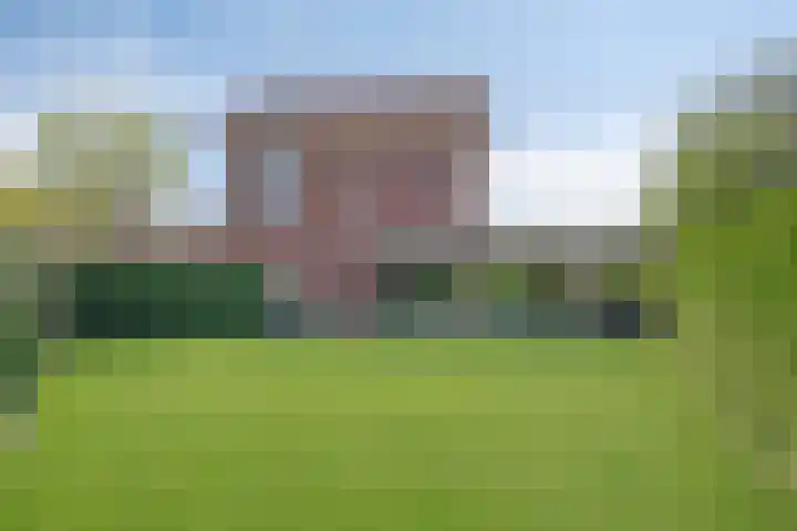 Tarwestraat 87 Berghem thumbnail 32