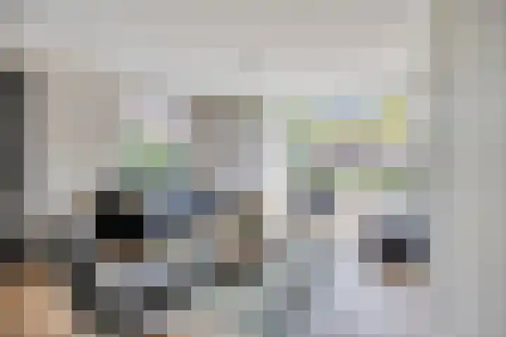 Tarwestraat 87 Berghem thumbnail 4