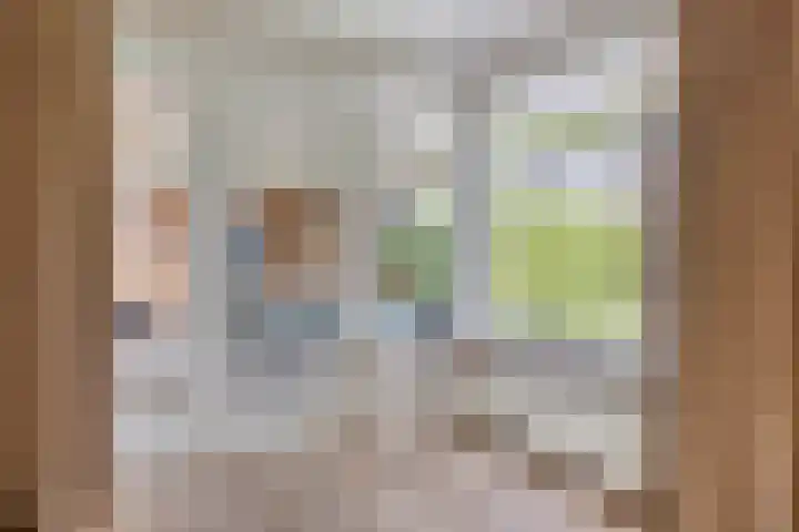 Tarwestraat 87 Berghem thumbnail 9