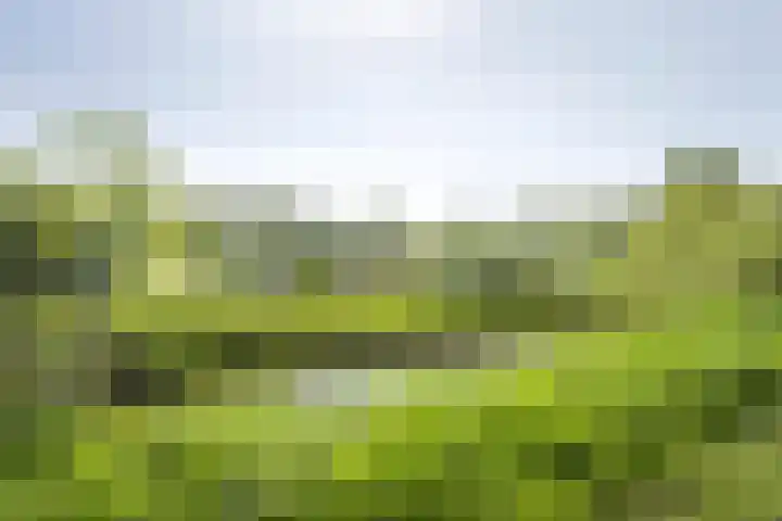 Tasmanstraat 42 Breda thumbnail 4