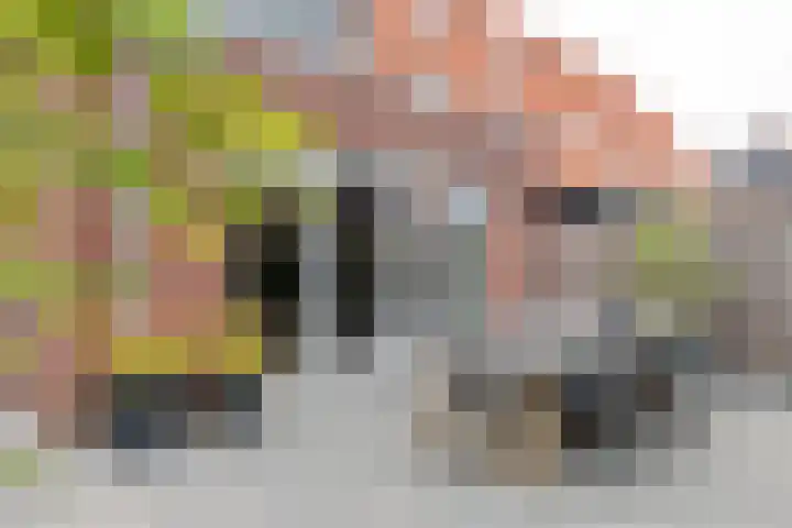 Tasveld 37 Druten thumbnail 33
