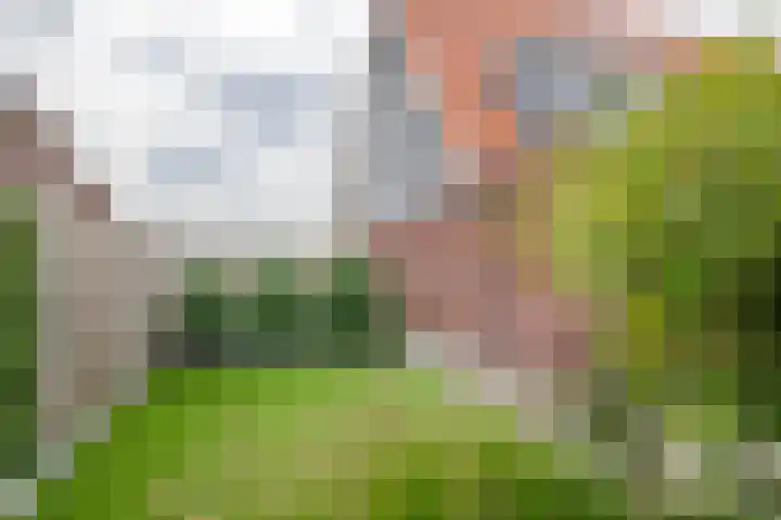 Tasveld 37 Druten thumbnail 38