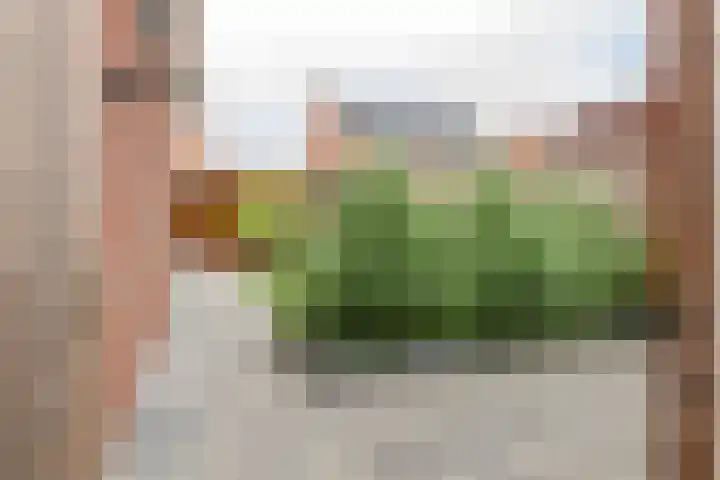 Tasveld 37 Druten thumbnail 40