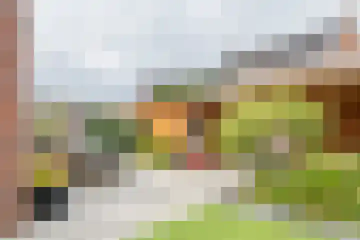 Tasveld 37 Druten thumbnail 41