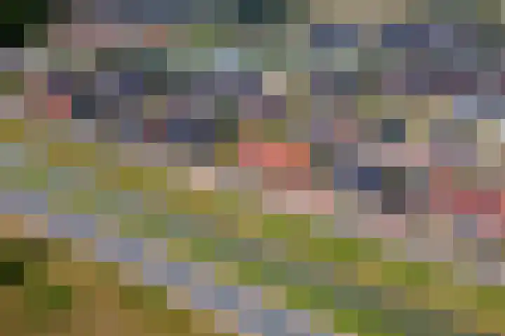 Tasveld 37 Druten thumbnail 47
