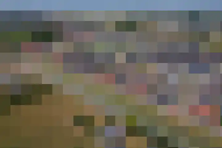 Tasveld 37 Druten thumbnail 49