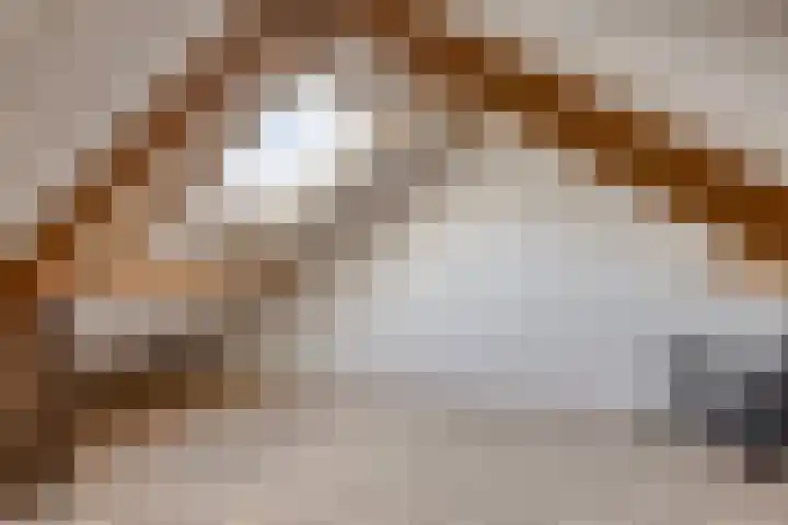 Taunus 10 Helmond thumbnail 33
