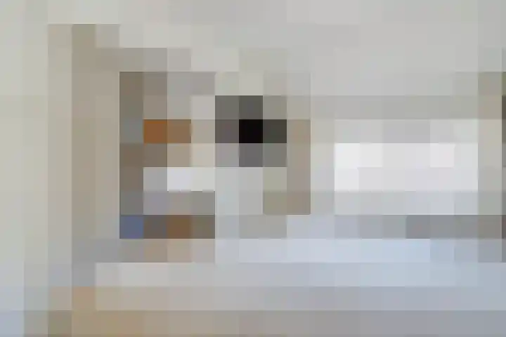 te Brittenstraat 3 Katwijk thumbnail 43